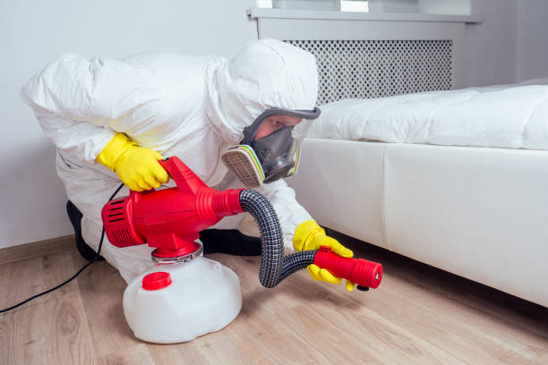 Best Local Pest Control Services  in USA